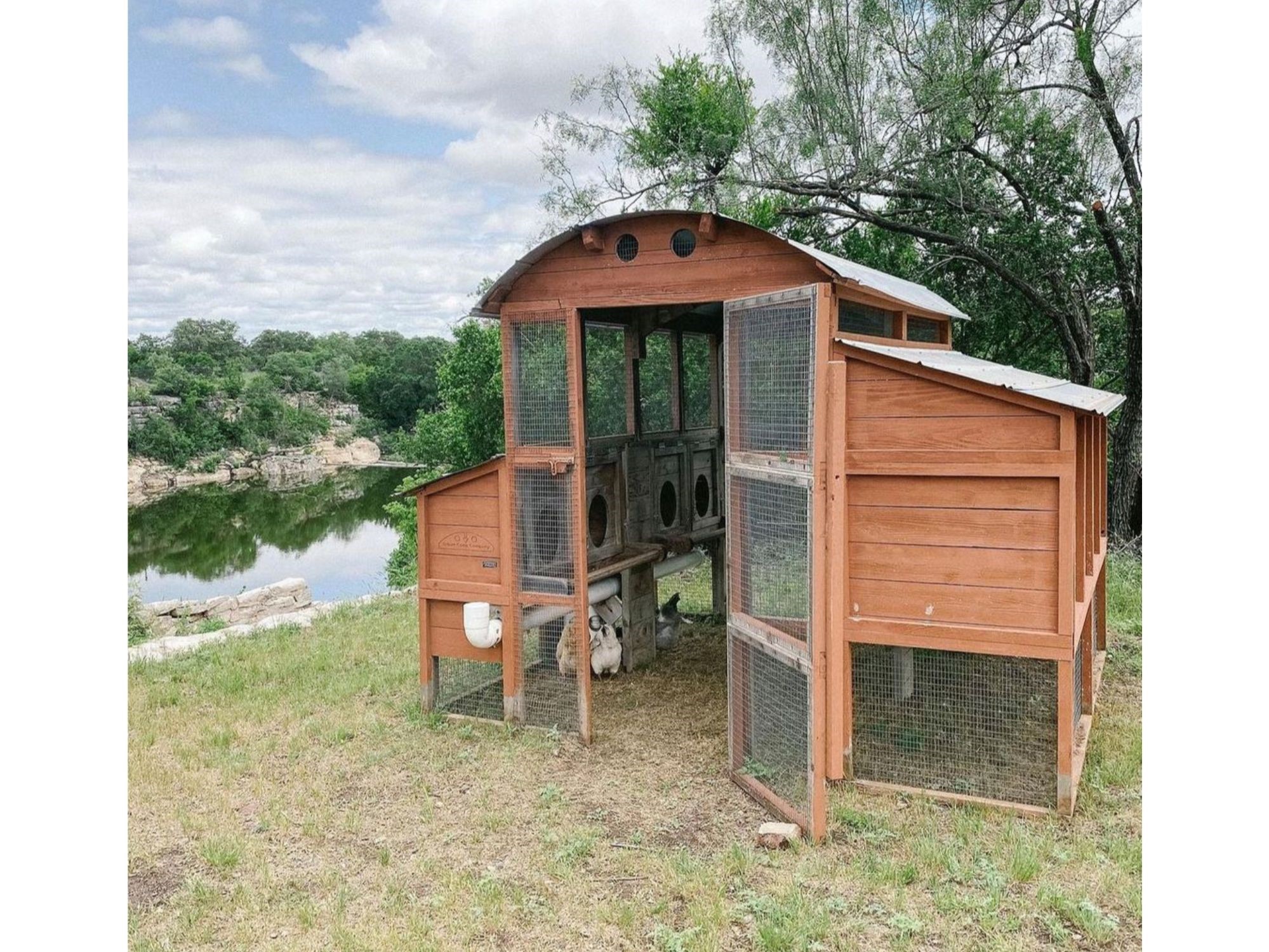 Round Top Walk In Chicken Coop