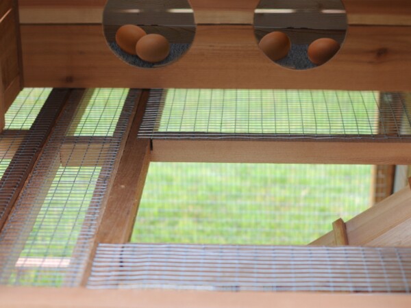 Small Round-Top Cedar Backyard Chicken Coop features two protected nest boxes.