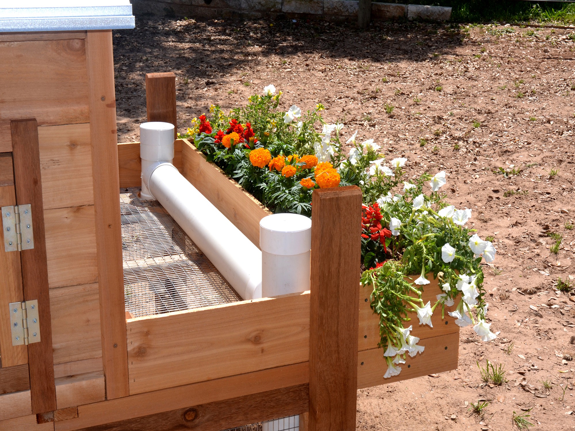 Round-Top-Backyard-Chicken-Coop-XL-planter-box