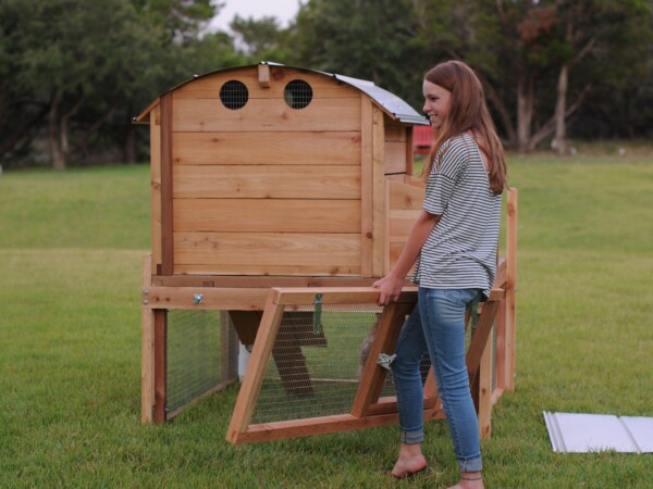 Small Round-Top Cedar Backyard Chicken Coop that shows the ability to remove a run panel.