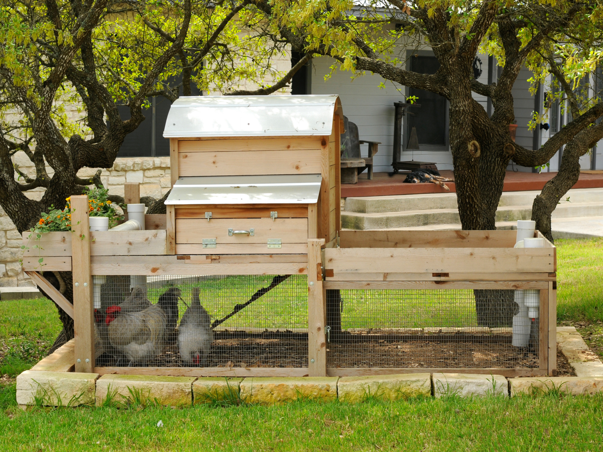 Roost-Root-Backyard-XL-Chicken-Coop-Side-View