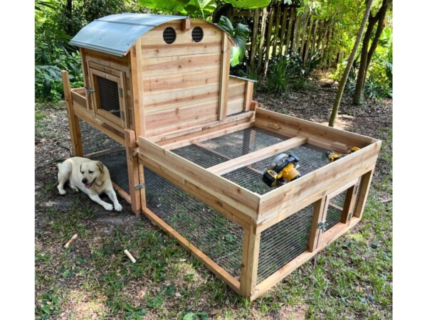 Roost-Root-Round-Top-Chicken-Coop-XL-Customer-Photo-with-Dog
