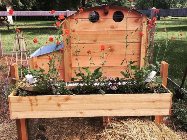Round-Top Backyard Chicken Coop with flowers growing inside Planter Box