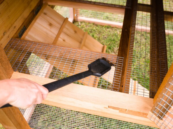 Round-Top-Backyard-Chicken-Coop-XL-coop-cleaning