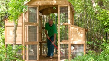Round-Top Walk-In Coop by Roost and Root