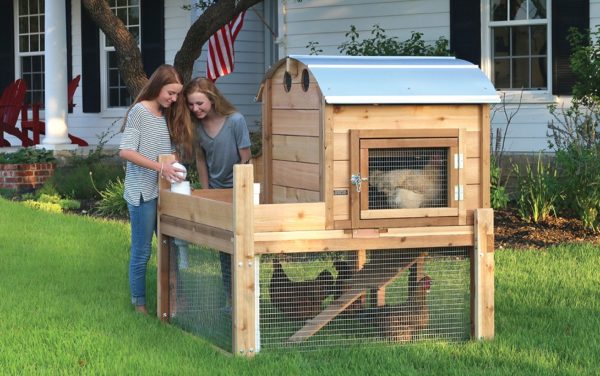 Round-Top Backyard Chicken Coops are Handmade in the USA (shown with optional waterer and feeder)