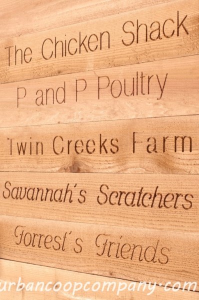 Nameboards Are Available On All Coops In Different Fonts