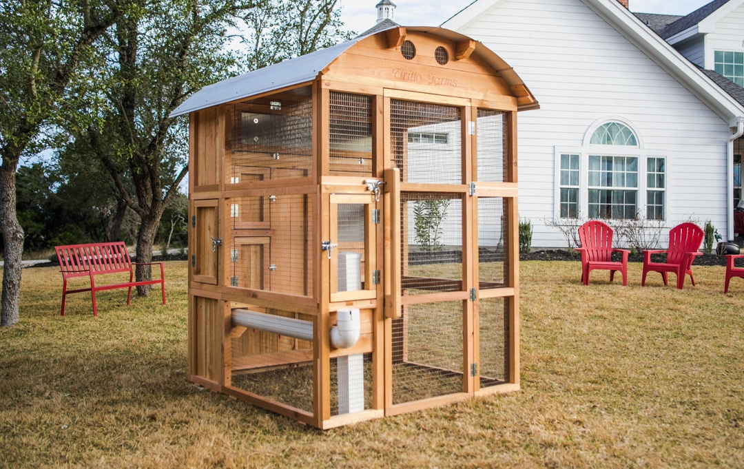 EZFill Waterer For StandUp Roost & Root