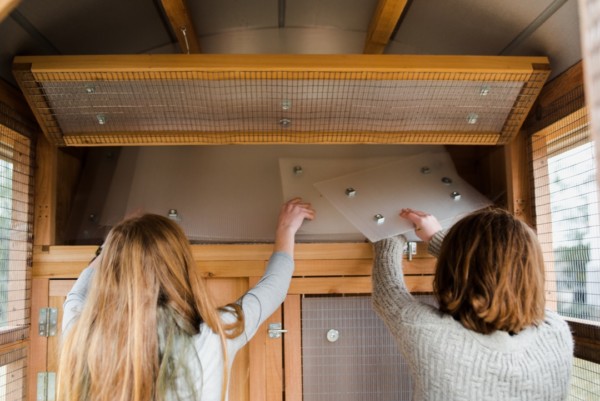 Roost & Root - Stand-Up Chicken Coop