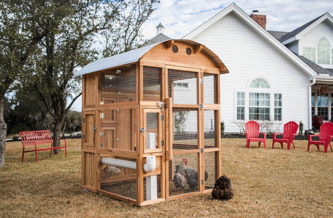 Roost and Root - Stand-Up Chicken Coop