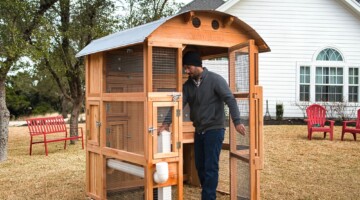 Man adjusting feeder inside chicken coop