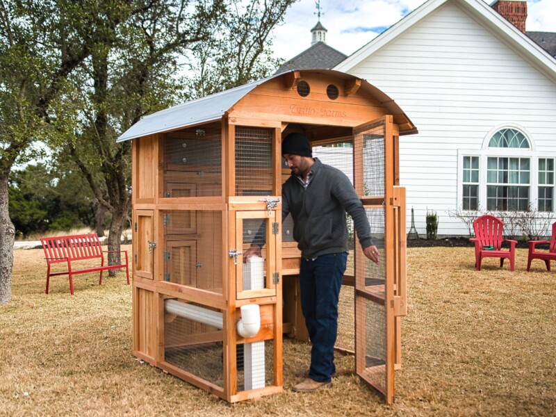 RoundTop StandUp Coop For 6 Chickens Roost & Root USA