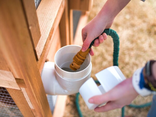 Stand-Up Chicke - Stand-Up Chicken Coop Waterer