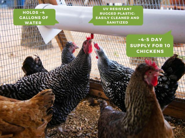 Features of EZ Fill Waterer