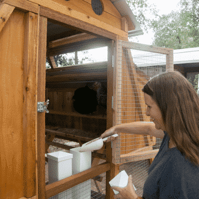 Fill Urban Coop Company's Easy-Fill Feeder from outside the coop