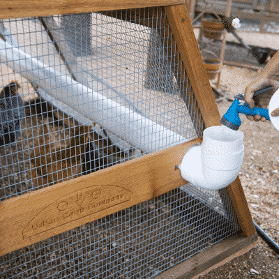 Urban Coop Company's Easy-Fill Waterer