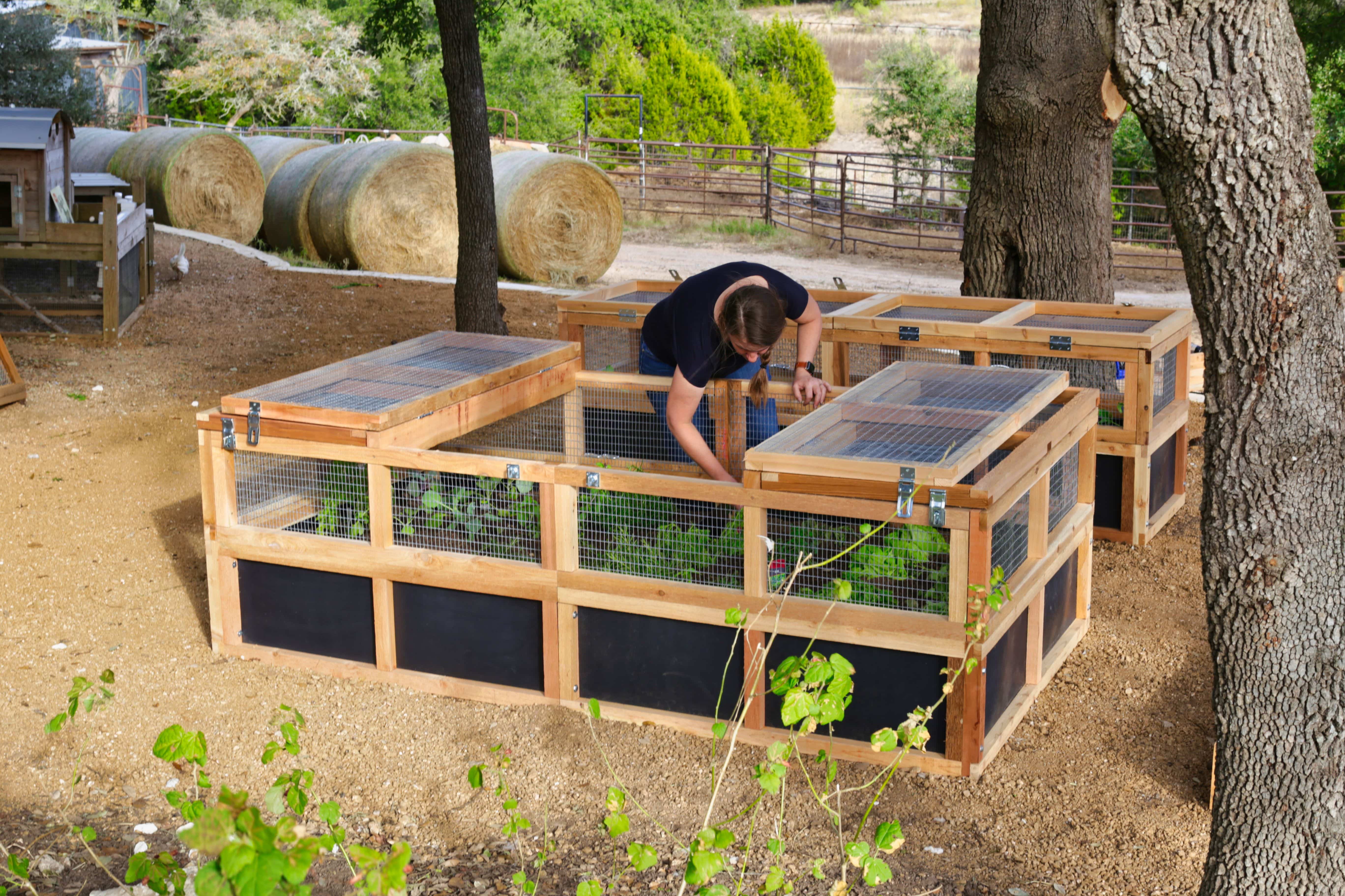 Roost and Root Cedar, Food Grade Safe, 47" Wide Wildlife Covers on 47" Raised Garden Bed