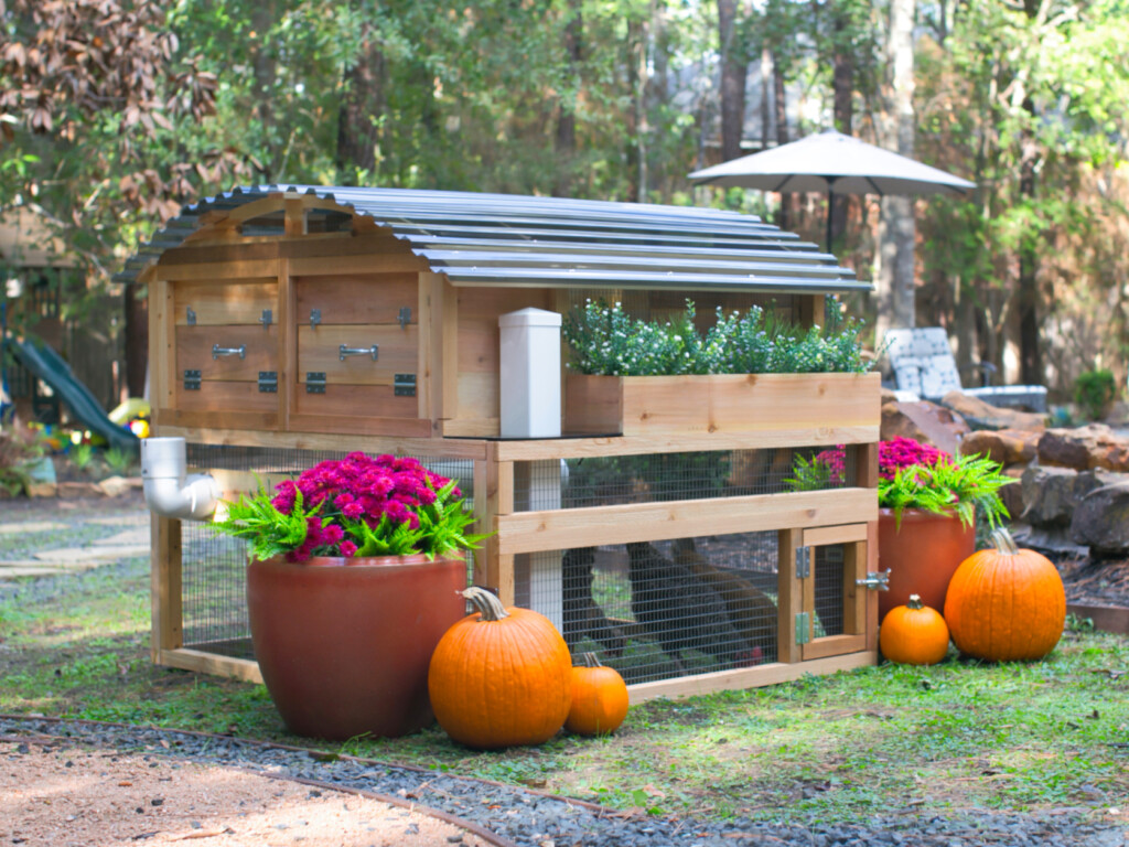 Chicken Nesting Box  Chicken House - Small Pet Select U.S.