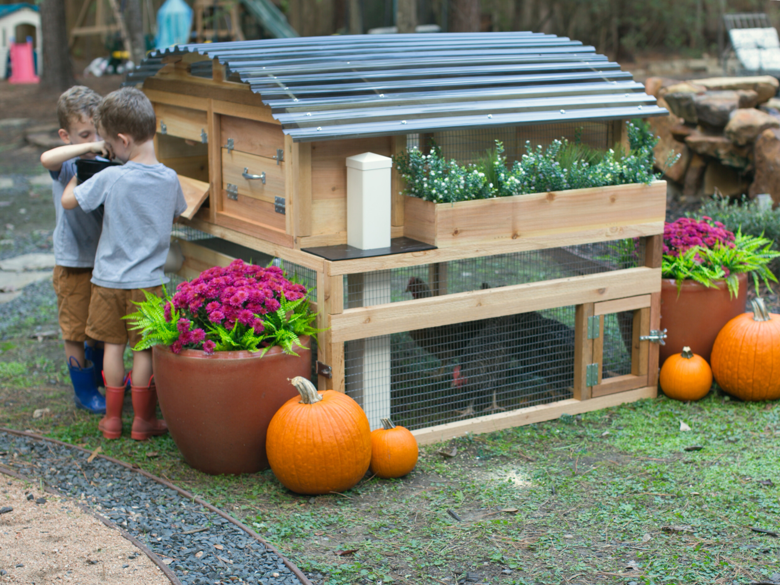 Compact Chicken Coops Small Backyard Coop Roost & Root