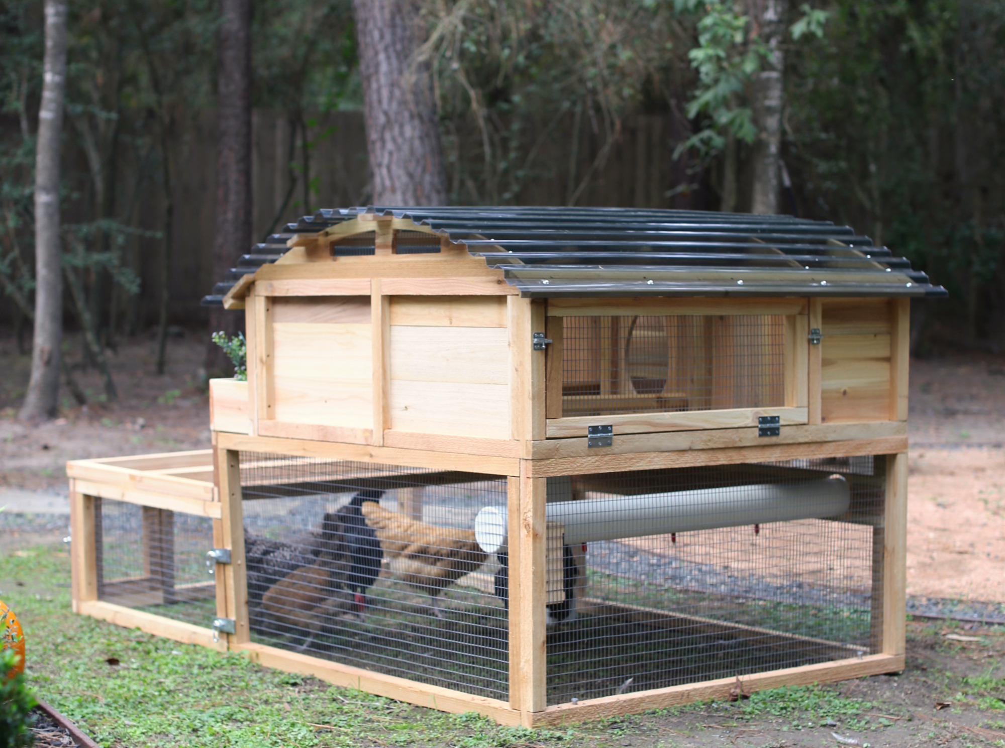 Roost-Root-Backyard-XL-Chicken-Coop-M2-Rear-View