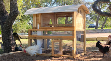 Starter Chicken Coop with Standard Roof