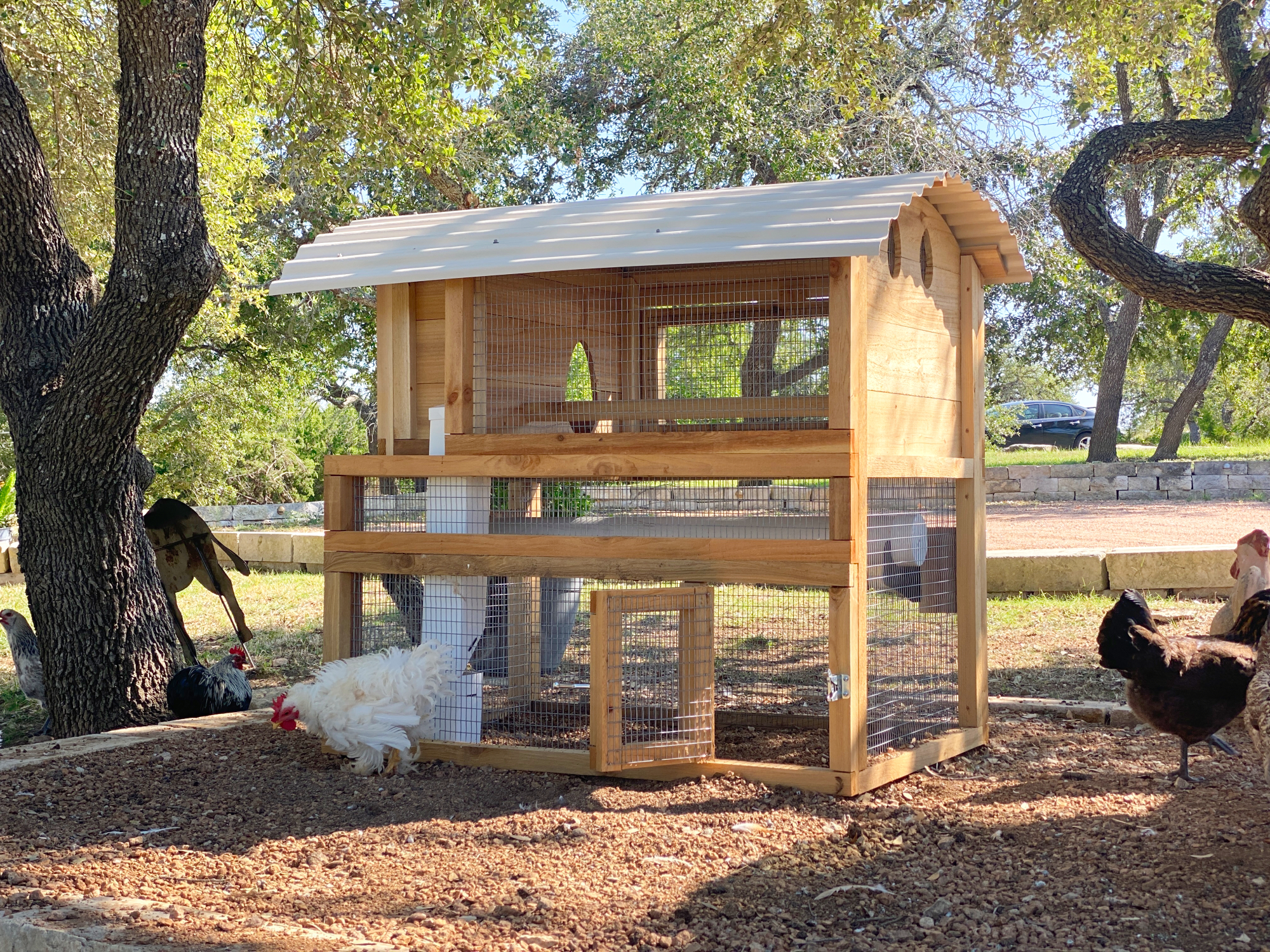 Starter Chicken Coop with Standard Roof