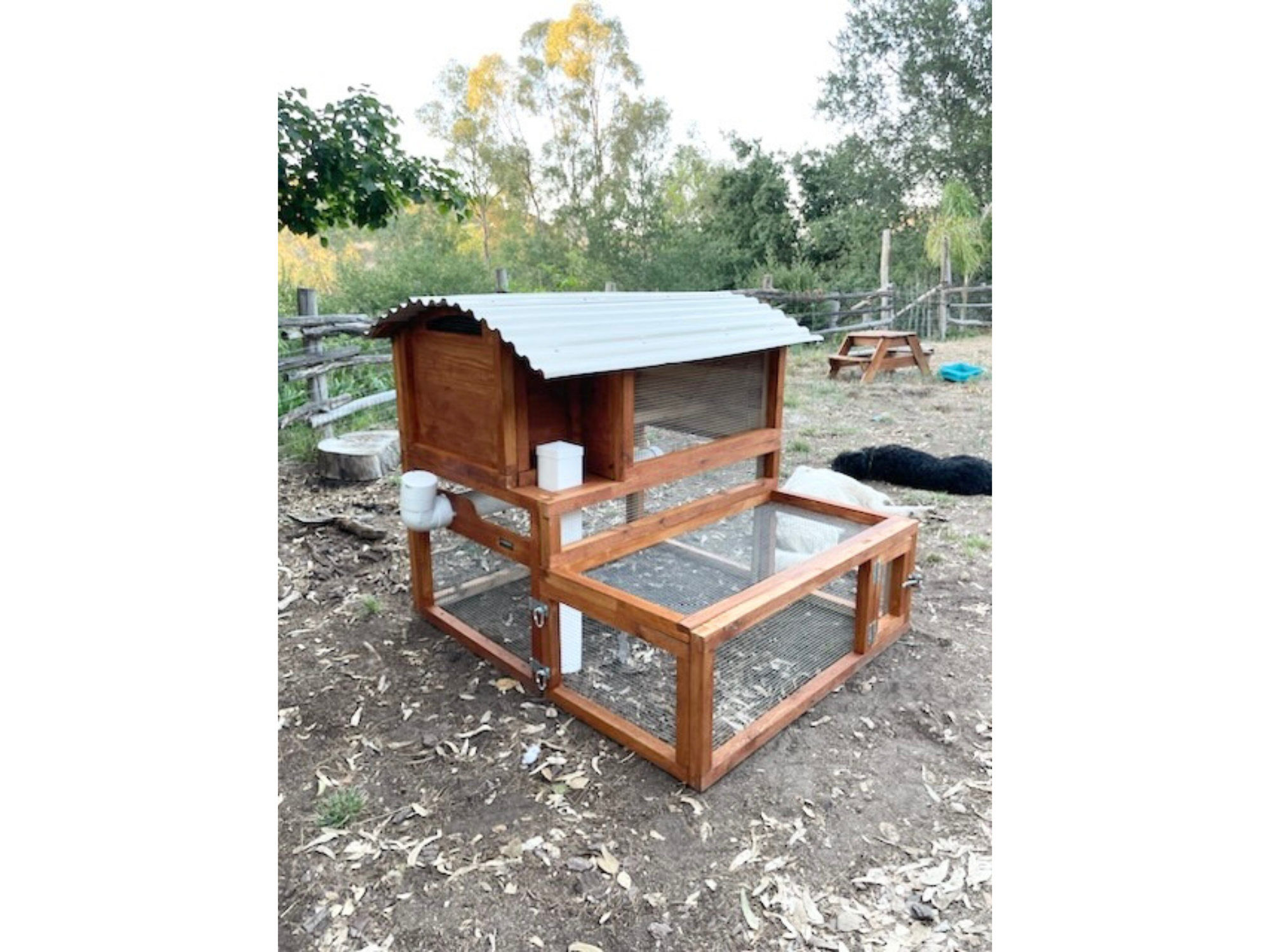 Customer image of Starter XL Coop for 4 chickens