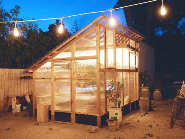 Slant-Roof Greenhouse Lit from Within