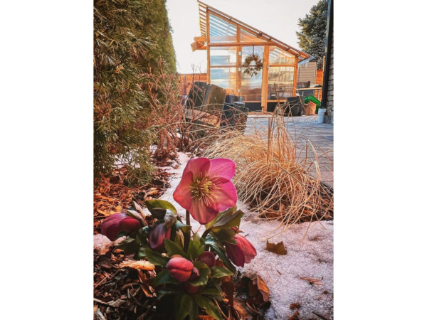 Slant-Roof Greenhouse with Snow and Flowers
