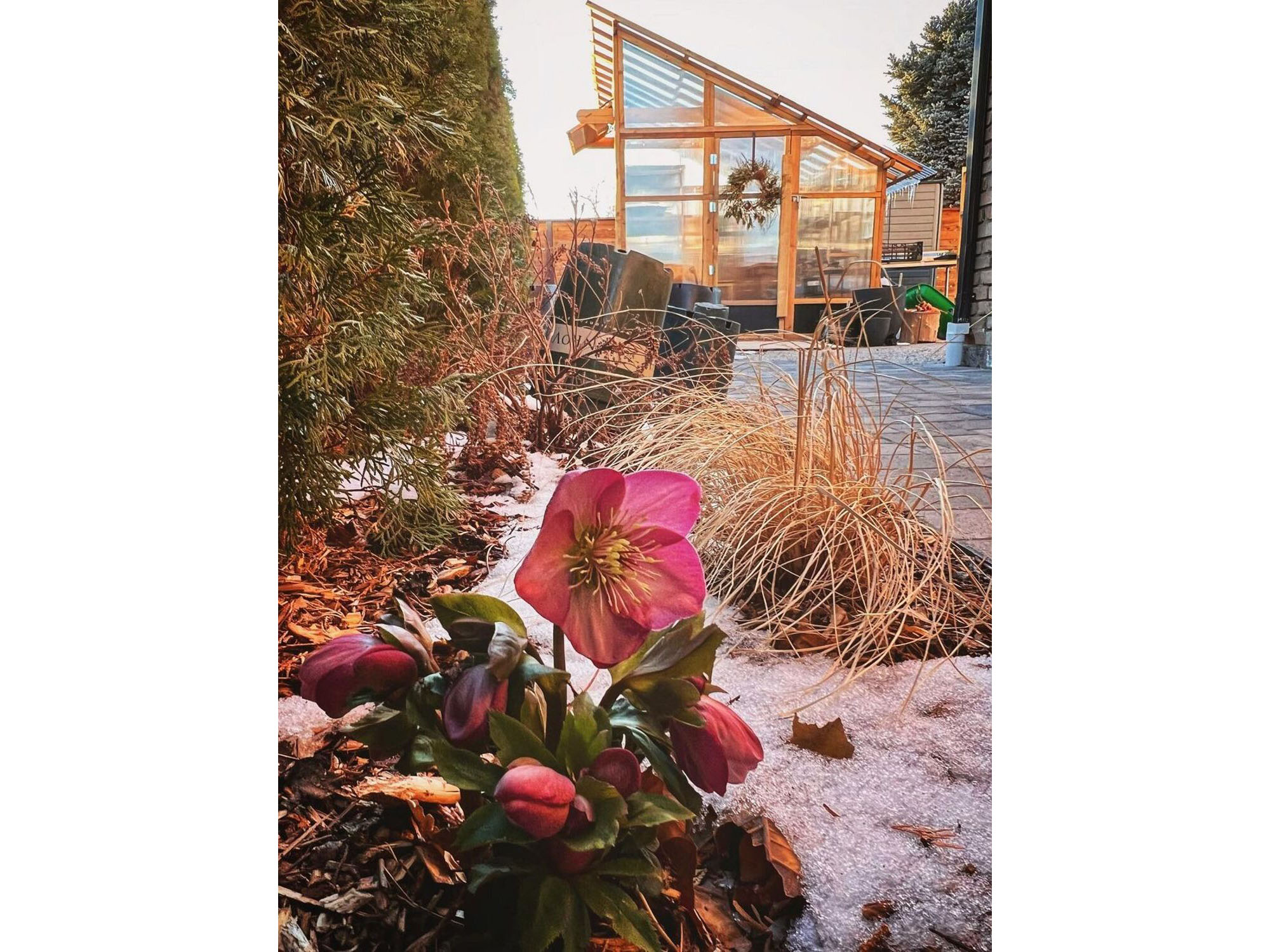 Greenhouse with Snow and Flowers