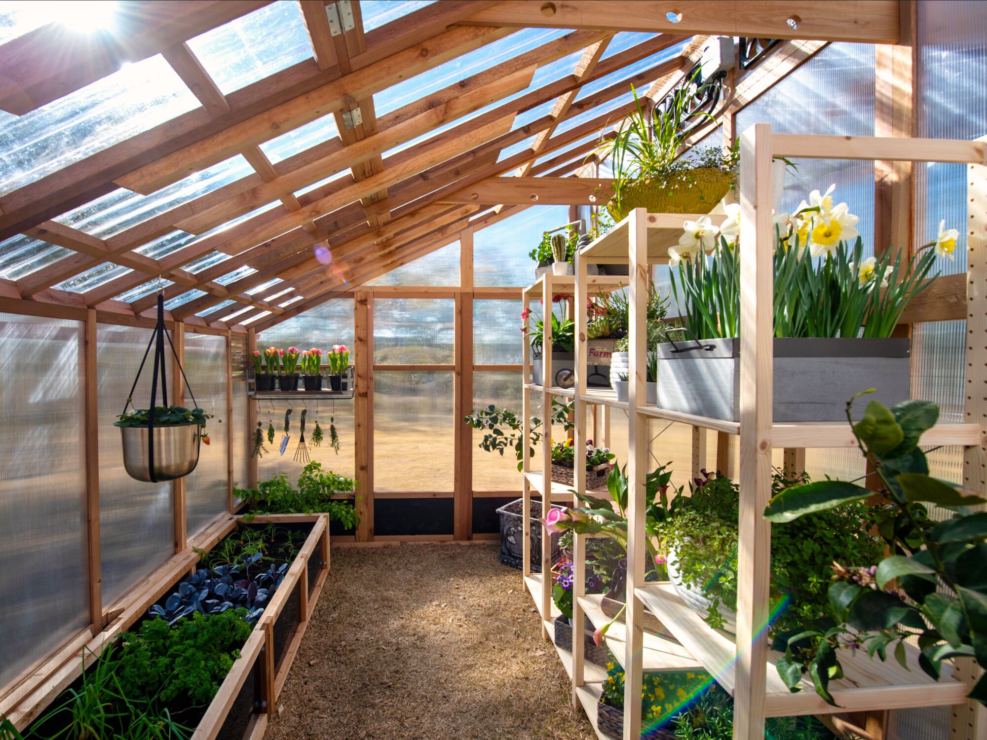 Slant-Roof Greenhouse Interior View