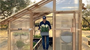 Roost & Root Slant-Roof Greenhouse™ Has a Lot Of Headroom