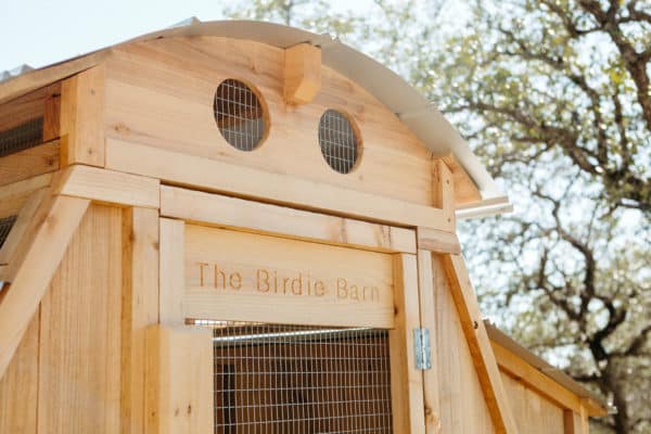 Roost and Root - Walk-In Chicken Coop - Round-Top Loft Coop - Round-Top Galvanized Roof Helps Keep Birds Cool