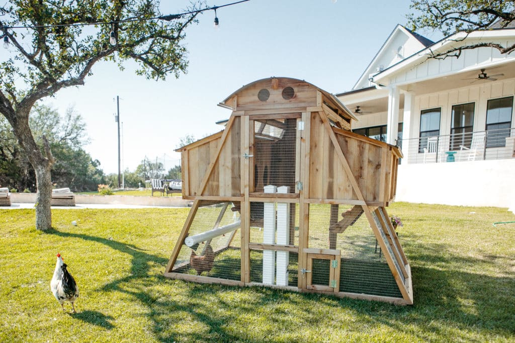 RoundTop Chicken Loft Large Walkin Roost & Root