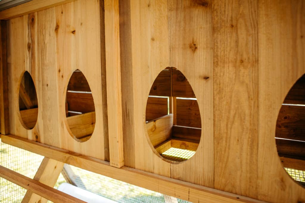 RoundTop Chicken Loft Large Walkin Roost & Root