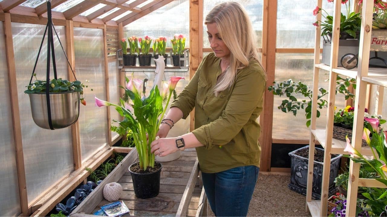 Indoor_Greenhouse Gardening