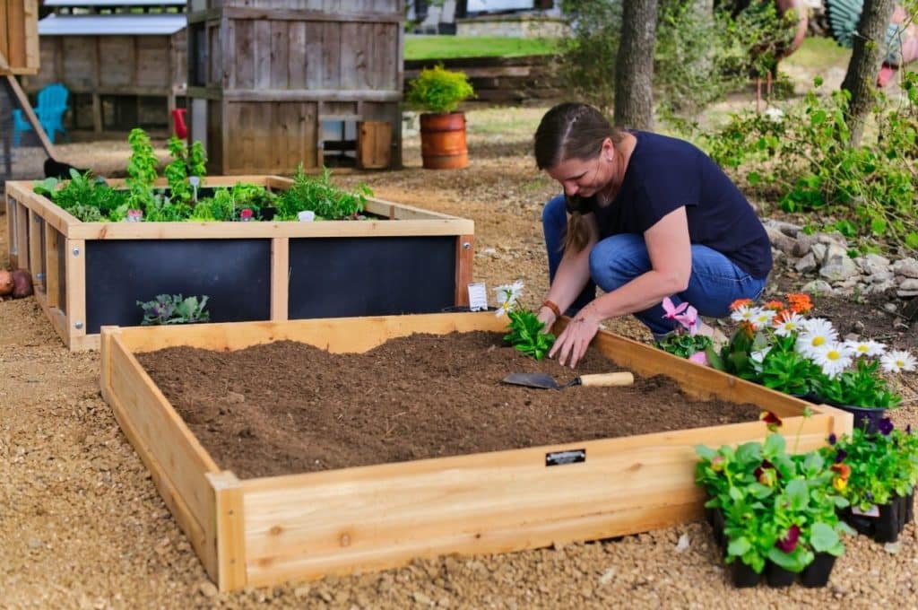 Raised Bed Gardening for Beginners Roost & Root