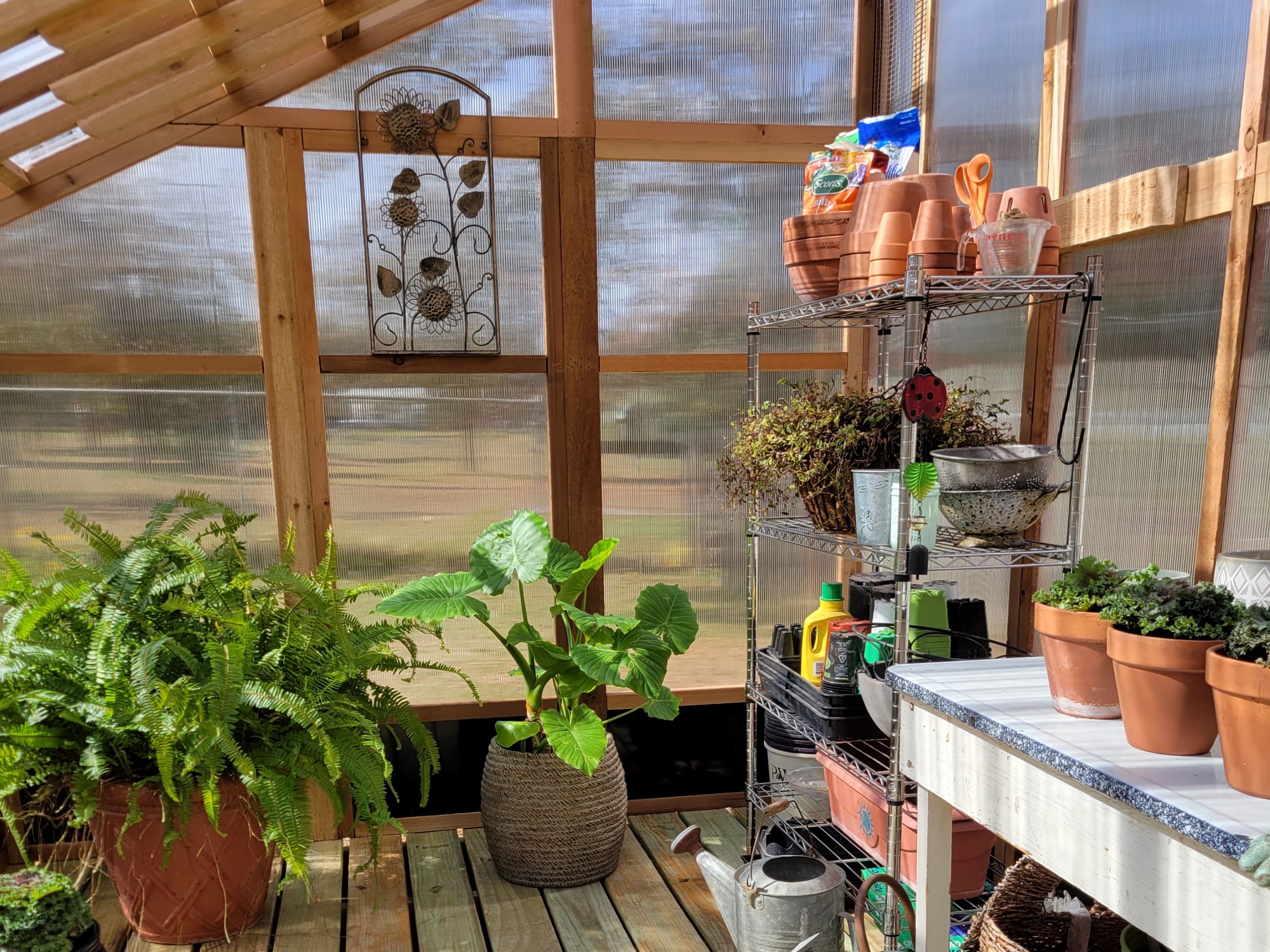 Slant-Roof Greenhouse Customer Interior View