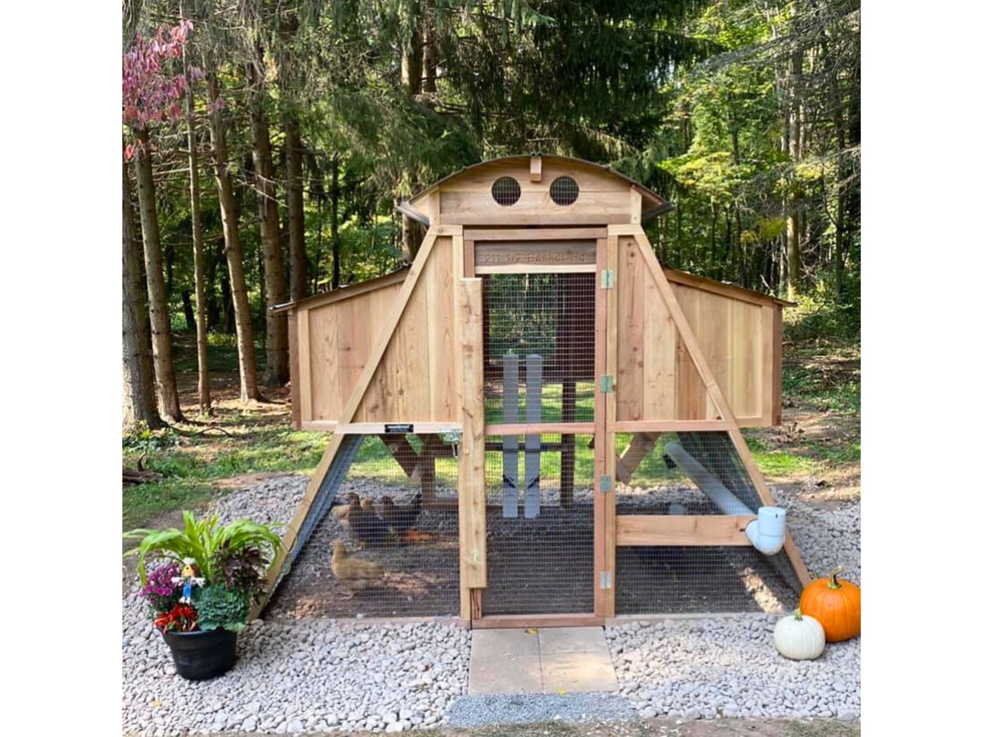 Roost-Root-Round-Top-Loft-Chicken-Coop-Customer-Photo-Loft