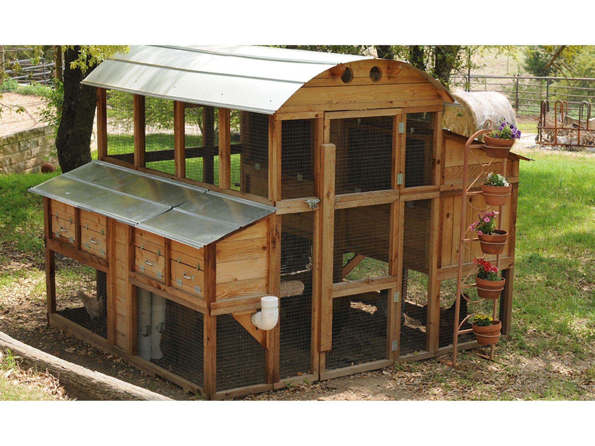 Round-Top Walk-In Chicken Coop