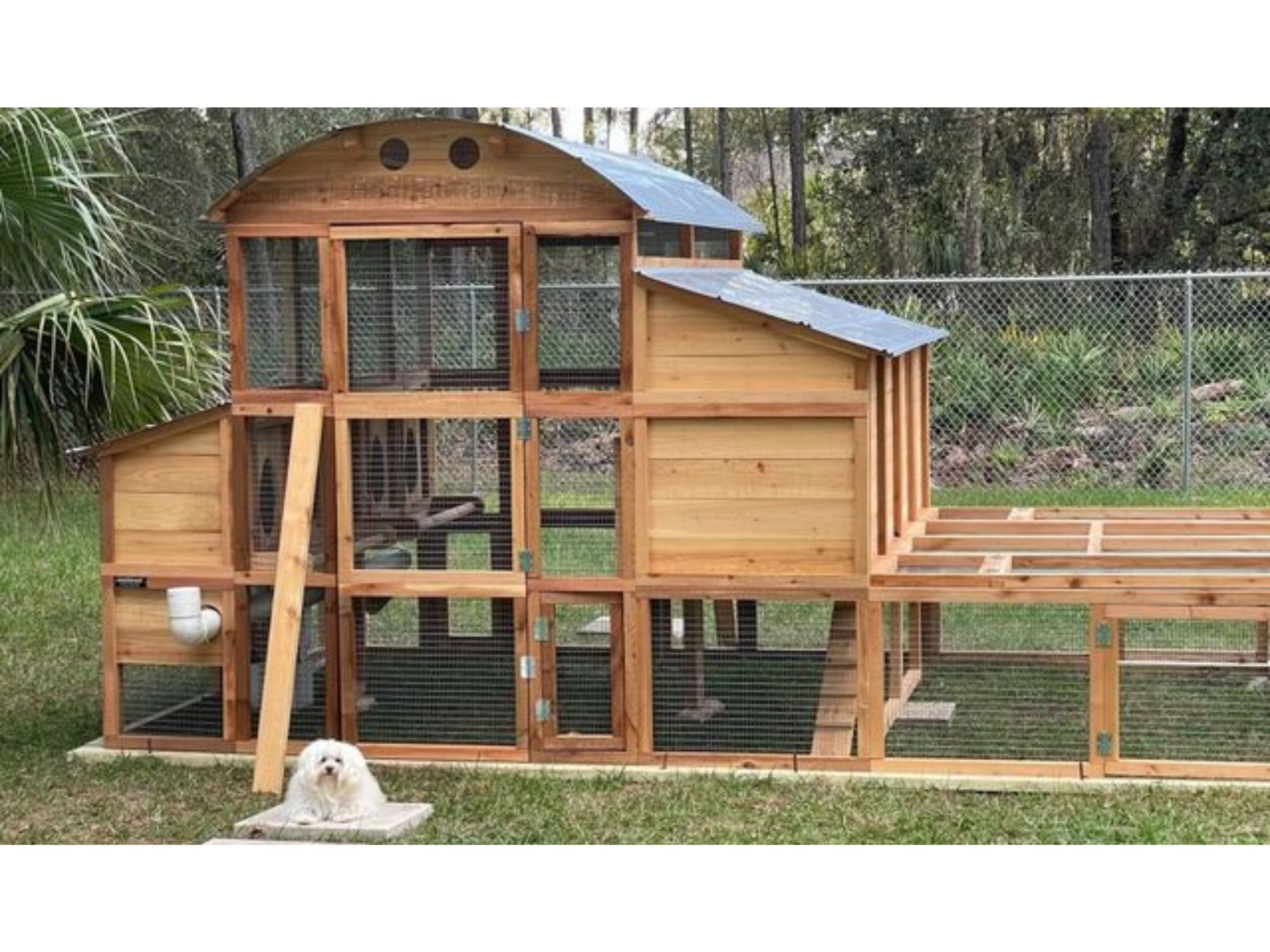 XL Chicken Coop Customer Photo