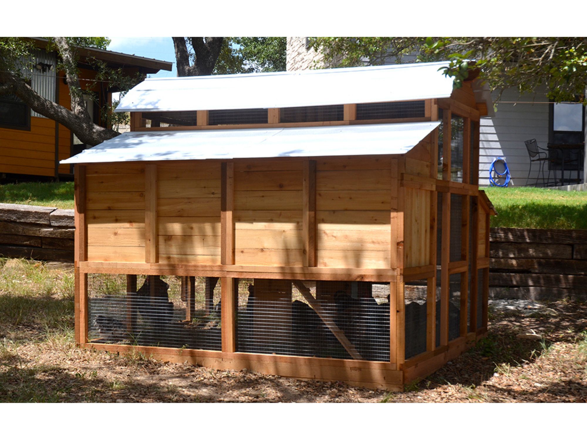 Roost-Root-Round-Top-Walk-In-Chicken-Coop-Side-Roost