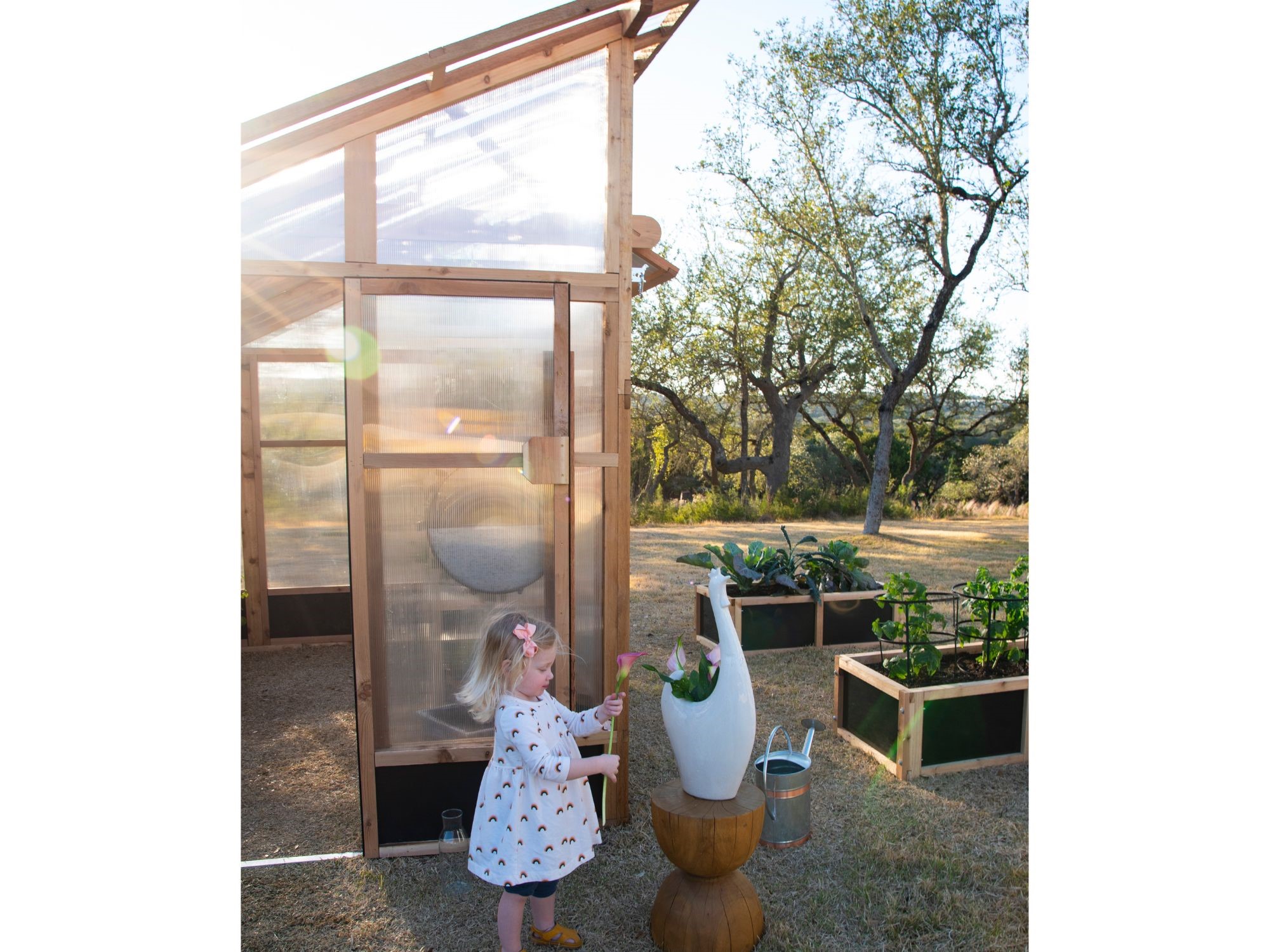 Roost-Root-Slant-Roof-Greenhouse-Baby-Flower