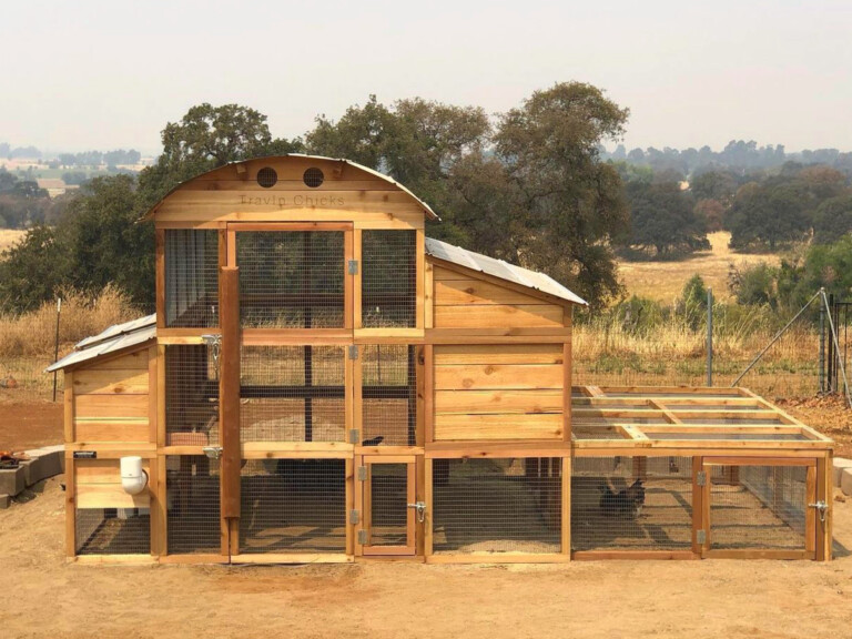 XL Chicken Coop RoundTop WalkIn XL Coop Up to 25 Chickens