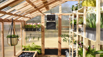 Roost-Root-XL-Slant-Roof-Greenhouse-Interior-Plants