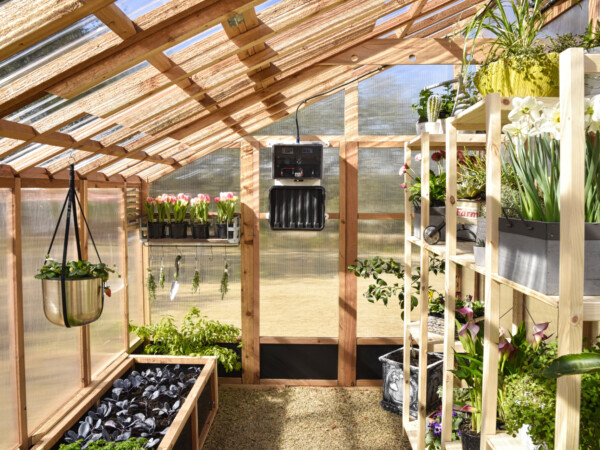 Roost-Root-XL-Slant-Roof-Greenhouse-Interior-Plants