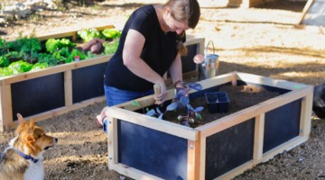 Roost and Root Cedar, Food Grade Safe, 24" Wide Raised Garden Bed