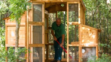 Round-Top-Walk-In-Chicken-Coop-front-door