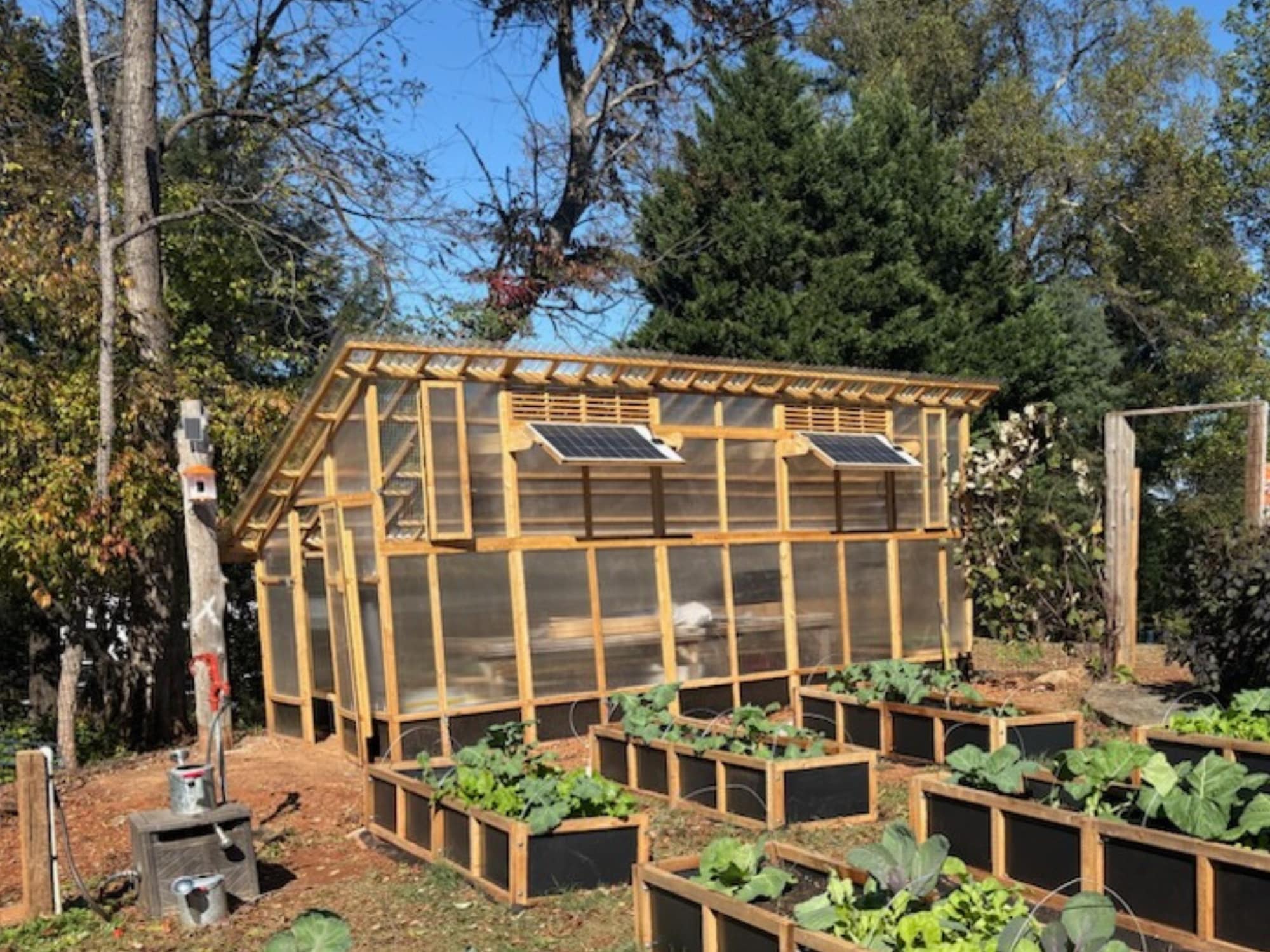 slant-roof-greenhouse-xl-garden-beds-school