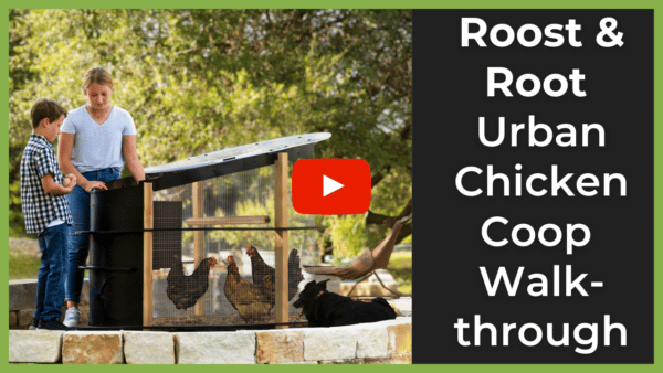 Roost & Root Urban Chicken Coop Walk-through video thumbnail